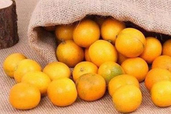 新鲜的原材料